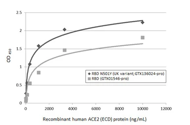 SARS-CoV-2 (COVID-19) Spike RBD protein, His tag (active). GTX01546-pro