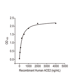 SARS-CoV-2 (COVID-19) Spike S1 protein, His and Avi tag (active). GTX01548-pro