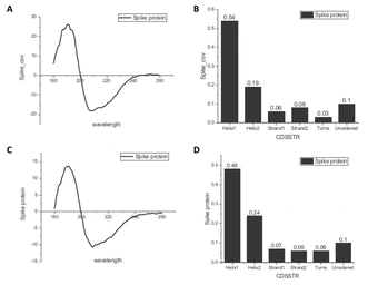 SARS-CoV-2 (COVID-19) Spike (D614G Mutant)(ECD) protein, His tag (active). GTX02575-pro