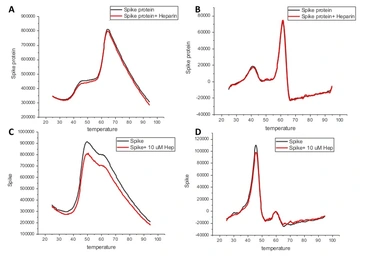 SARS-CoV-2 (COVID-19) Spike (D614G Mutant)(ECD) protein, His tag (active). GTX02575-pro