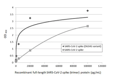 SARS-CoV-2 (COVID-19) Spike (D614G Mutant)(ECD) protein, His tag (active). GTX02575-pro