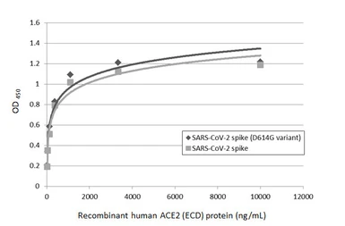 SARS-CoV-2 (COVID-19) Spike (D614G Mutant)(ECD) protein, His tag (active). GTX02575-pro