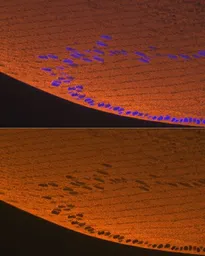 Anti-alpha A Crystallin antibody [GT1276] used in IHC (Paraffin sections) (IHC-P). GTX03188