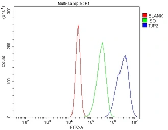 Anti-TJP2 antibody used in Flow cytometry (FACS). GTX03355