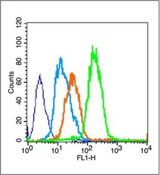 Anti-PPAR gamma antibody used in Flow cytometry (FACS). GTX03364