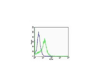 Anti-Integrin alpha V + beta 5 antibody used in Flow cytometry (FACS). GTX03382