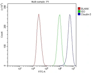 Anti-Claudin 3 antibody used in Flow cytometry (FACS). GTX03712