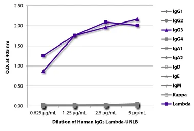 Human IgG3 isotype control. GTX03789