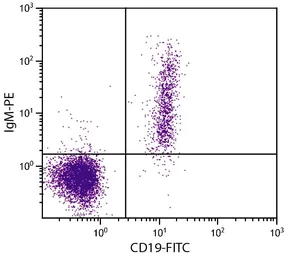 Goat Anti-Human IgM (Mu chain) antibody, pre-adsorbed (PE). GTX04120-08