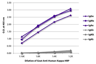 Goat Anti-Human kappa light chain antibody, pre-adsorbed (HRP). GTX04129-01