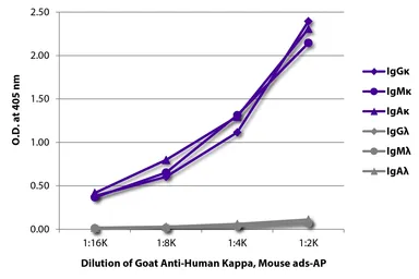 Goat Anti-Human kappa light chain antibody, pre-adsorbed (AP). GTX04130-03