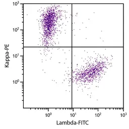 Goat Anti-Human kappa light chain antibody, F(ab')2 fragment, pre-adsorbed (PE). GTX04131-08