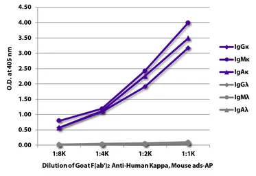 Goat Anti-Human kappa light chain antibody, F(ab')2 fragment, pre-adsorbed (AP). GTX04132-03