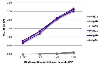 Goat Anti-Human lambda light chain antibody, pre-adsorbed (HRP). GTX04133-01