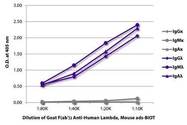 Goat Anti-Human lambda light chain antibody, F(ab')2 fragment, pre-adsorbed (Biotin). GTX04136-02