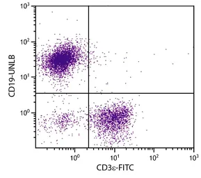 Mouse Anti-Rat IgG2a antibody [2A8F4] (PE). GTX04140-08