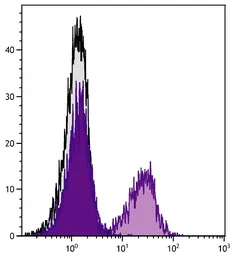 Goat Anti-Golden Syrian Hamster IgG antibody, pre-adsorbed (APC). GTX04160-07