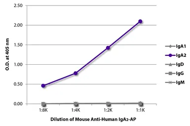 Mouse Anti-Human IgA2 (Fc) antibody [A9604D2] (AP). GTX04183-03