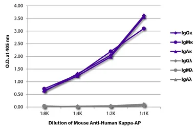 Mouse Anti-Human kappa light chain antibody [SB81a] (AP). GTX04189-03