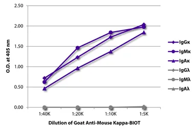 Goat Anti-Mouse kappa light chain antibody, pre-adsorbed (Biotin). GTX04201-02