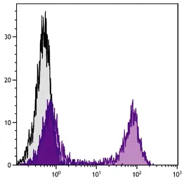 Goat Anti-Mouse kappa light chain antibody, pre-adsorbed (Biotin). GTX04201-02