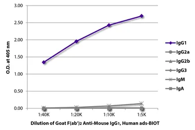 Goat Anti-Mouse IgG1 (Heavy chain) antibody, F(ab')2 fragment, pre-adsorbed (Biotin). GTX04206-02