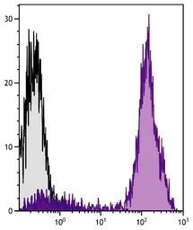 Goat Anti-Mouse IgG2a (Heavy chain) antibody, pre-adsorbed (R-PE-Cy5). GTX04210-09