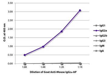 Goat Anti-Mouse IgG2a (Heavy chain) antibody, pre-adsorbed (AP). GTX04211-03