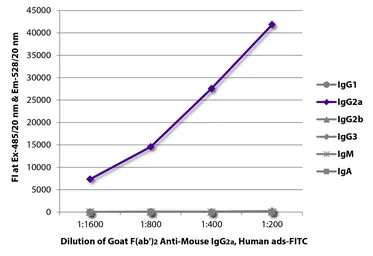 Goat Anti-Mouse IgG2a (Heavy chain) antibody, F(ab')2 fragment, pre-adsorbed (FITC). GTX04212-06