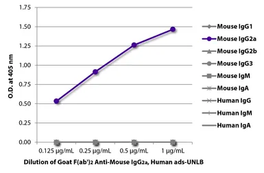 Goat Anti-Mouse IgG2a (Heavy chain) antibody, F(ab')2 fragment, pre-adsorbed. GTX04212