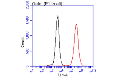 Anti-Iba1 antibody used in Flow cytometry (FACS). GTX100042