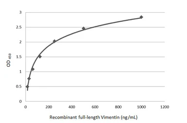 Anti-Vimentin antibody used in ELISA (ELISA). GTX100619