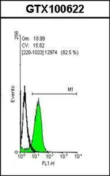 Anti-Oct4 antibody used in Flow cytometry (FACS). GTX100622