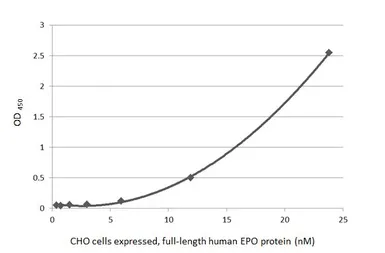 Anti-EPO antibody used in ELISA (ELISA). GTX100813