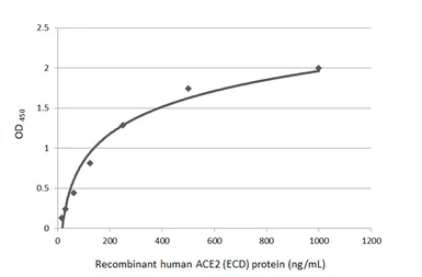 Anti-ACE2 antibody [N1N2], N-term used in ELISA (ELISA). GTX101395