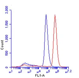 Anti-beta Catenin antibody [N1N2-2], N-term used in Flow cytometry (FACS). GTX101435