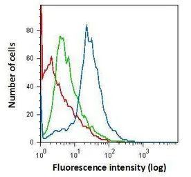 Anti-Iba1 antibody used in Flow cytometry (FACS). GTX101495