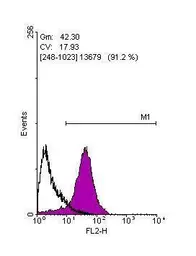 Anti-SOX2 antibody [N1C3] used in Flow cytometry (FACS). GTX101507