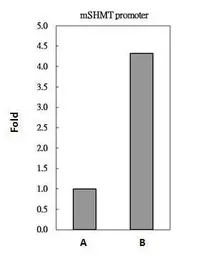 Anti-c-Myc antibody used in ChIP assay (ChIP assay). GTX103436