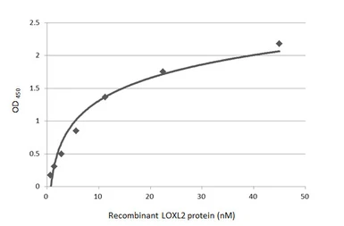 Anti-LOXL2 antibody used in ELISA (ELISA). GTX105085