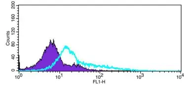 Anti-RP105 antibody [N2C1], Internal used in Flow cytometry (FACS). GTX109057