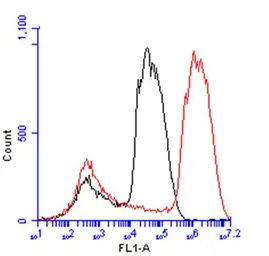 Anti-Arginase 1 antibody used in Flow cytometry (FACS). GTX109242