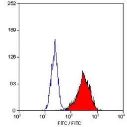 Anti-CD90 antibody [F15-42-1] (FITC) used in Flow cytometry (FACS). GTX11155