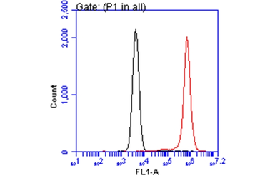 Anti-Annexin V antibody [N2C3] used in Flow cytometry (FACS). GTX113384