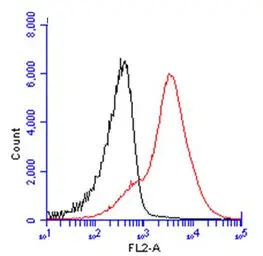 Anti-CD45 antibody used in Flow cytometry (FACS). GTX116018