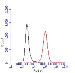 Anti-CD45 antibody used in Flow cytometry (FACS). GTX116018