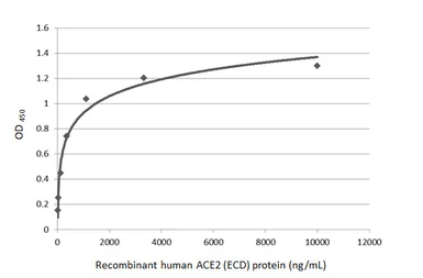 Human ACE2 (ECD) protein, mouse IgG Fc tag (active). GTX135683-pro