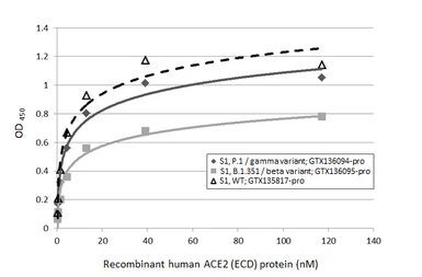 Human ACE2 (ECD) protein, mouse IgG Fc tag (active). GTX135683-pro