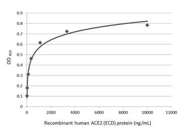 Human ACE2 (ECD) protein, mouse IgG Fc tag (active). GTX135683-pro