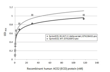 Human ACE2 (ECD) protein, mouse IgG Fc tag (active). GTX135683-pro